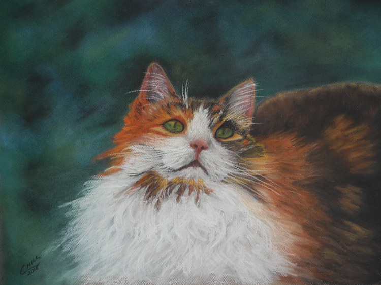 This is a pastel drawing of a very pretty cat.